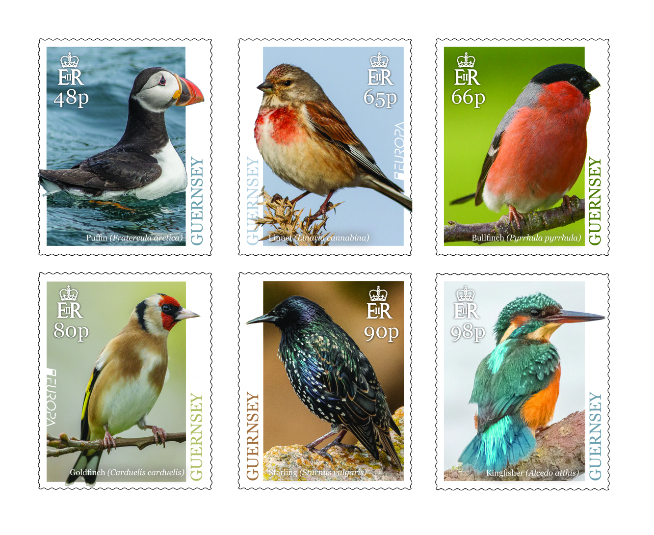 Europa stamps depict singing Bailiwick birds